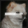 Onaleena