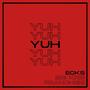 YUH (feat. SOB Big Kris & Franchi$e) [Explicit]