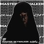 Master Skywalker