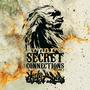 Secret connections vol1