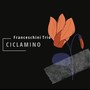 Ciclamino