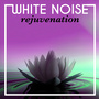 White Noise Rejuvenation