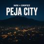 Peja City (feat. Dripzz) [Explicit]