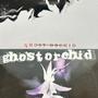 Ghost orchid