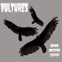 Vultures (feat. RoccDiffer & 23hundoo) [Explicit]