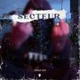 Secteur (Explicit)