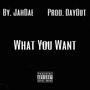 What You Want (Explicit)