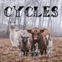 Cycles (Explicit)