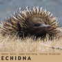 Echidna