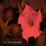 Scopolamine (Explicit)