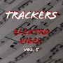 Elektro Vibes, Vol. 5