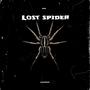 Lost Spider (Explicit)