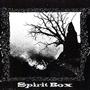 Spirit Box (Explicit)