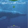 Emeraude: l'émotion des baleines