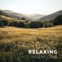 Relaxing Ambiance of Open Meadows