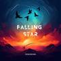 FALLING STAR