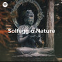 Solfeggio Nature (Healing of the Forest)