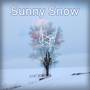 Sunny Snow