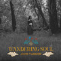 Wandering Soul