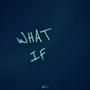 WHAT IF, Vol. 1 (Explicit)