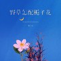 野草怎配栀子花