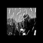 Frost