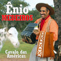 Cavalo das Américas