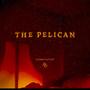 The Pelican