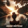 Aguas Místicas: Reflexiones de Meditación en el Spa