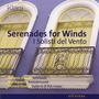 Serenades for Winds, Dvorak Serenade, Alpaerts Avondmuziek, Strauss Suite in B flat major