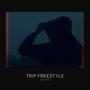 TRIP FREESTYLE (Explicit)