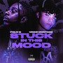 Stuck In This Mood (Explicit)