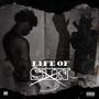 LIFE OF SIN (Explicit)