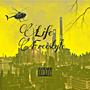 Life Freestyle (Explicit)