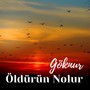 Öldürün Nolur