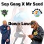 Down Low (feat. Mr Seed, Hyrax, Dellyfeelz, Donbruce254, King Spooky & Tinorozz)