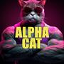 Alpha Cat