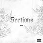 Sections (Explicit)