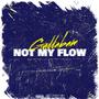 Not My Flow (Explicit)