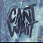 Cant Wait (Explicit)