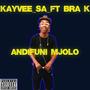 Andifuni Mjolo (feat. Bra K)