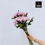 Chrysanthème (feat. Bigi Sauce) [Explicit]