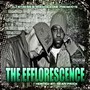 The Efflorescence