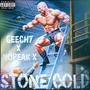 Stone Cold (feat. Nopeak X) [Explicit]