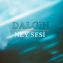 Dalgın