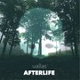 Afterlife