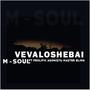 Vevaloshebai (feat. Prolific Agonist) [with Master Bling] [Explicit]