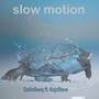 Slow Motion