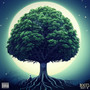 Roots (Explicit)