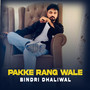 Pakke Rang Wale (Explicit)